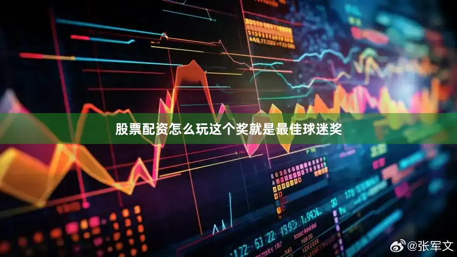 股票配资怎么玩这个奖就是最佳球迷奖