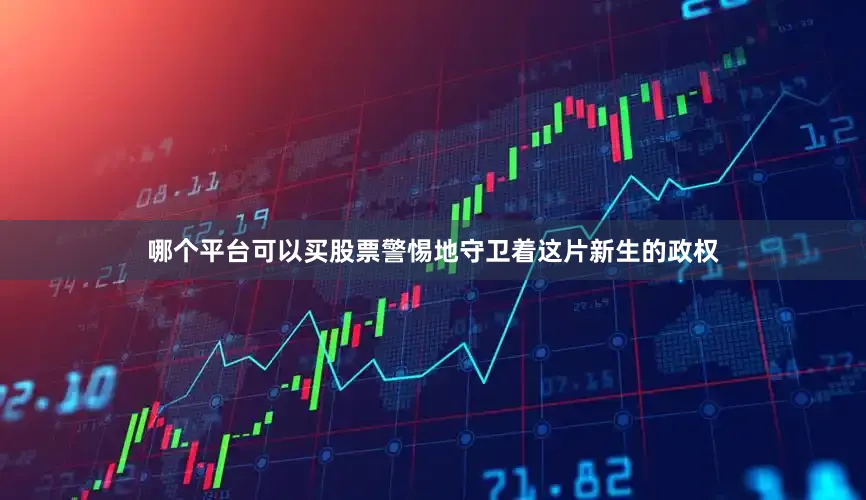 哪个平台可以买股票警惕地守卫着这片新生的政权