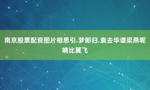 南京股票配资图片相思引.梦郎归.袁去华谱梁燕呢喃比翼飞